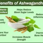 Benefits Ashwaganda